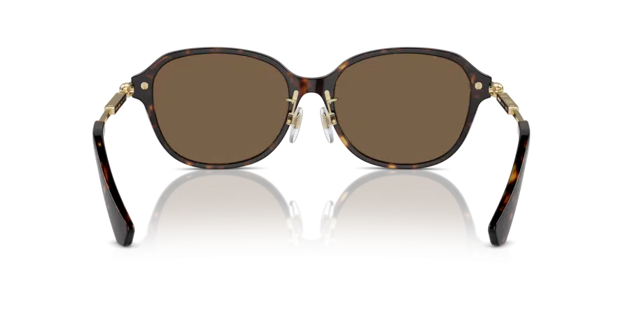 Kadın Güneş Gözlüğü 4429D 300273 17-56-140