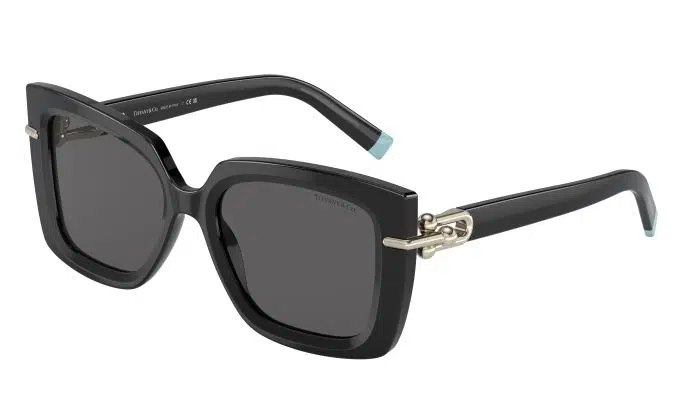 Kadın Güneş Gözlüğü 4199 8001S4 53